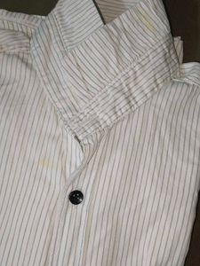 Striped Button-Down Shirt