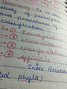 Class 11 Bio Handwritten Notes