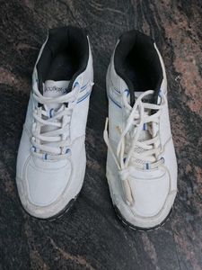 Sports Shoes For Mens