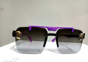 Stylish Sunglasses