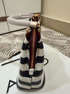 ALDO Striped Handbag