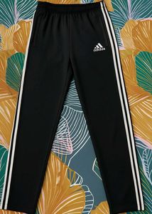 Adidas Pant