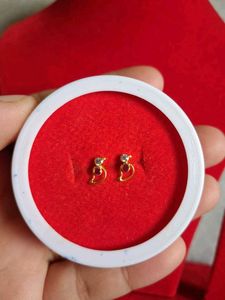 beautiful parrot 🦜 design studs