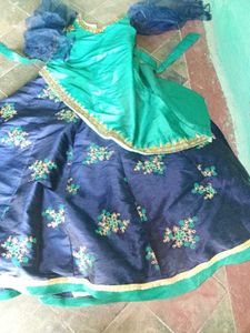 Elegant Green &amp; Blue Ethnic Dress
