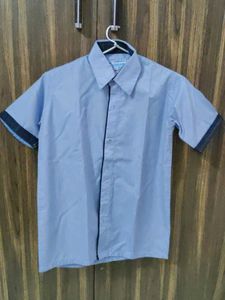 Blue Striped Shirt