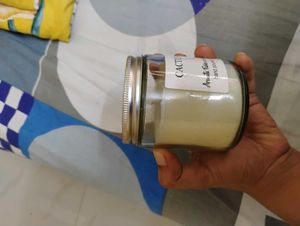 Aromatic Fables Cactus Flower Candle