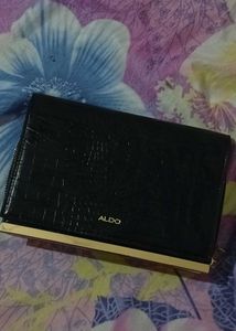 ALDO Crossbody Bag