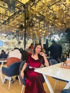 Velvet Designer Dress