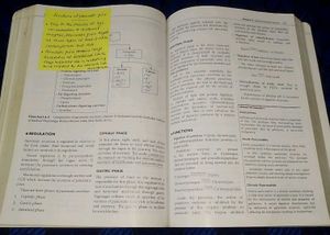 Basics Of Medical Physiology 4 Venkatesh &amp; Sudhaka