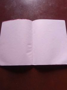 Accountancy And Unruled Notes