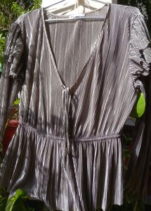 Zara Silver Pleated Blouse