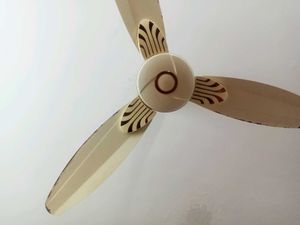 Ceiling Fan Cream