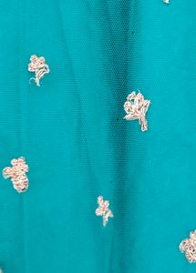 Party Wear Lehenga