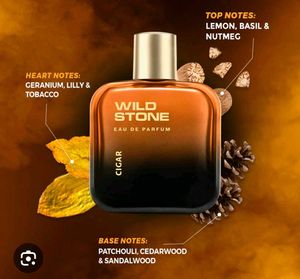 Wild Stone Cigar Perfume