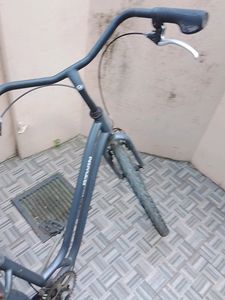 Cycle
