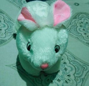 Cute Plush Bunny