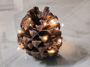 1 Pine Cone And Battery LED Light