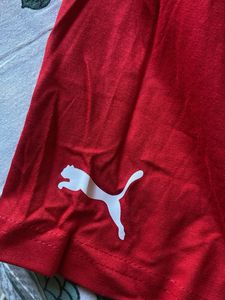 Puma Scuderia Ferrari Racing T-Shirt