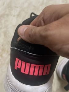Puma Gray Sneakers