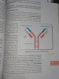 NCERT BIOLOGY TEXTBOOK FOR 12th CLASS