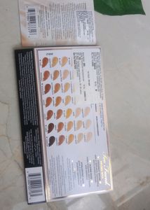Too Faced Foundation Sample Card