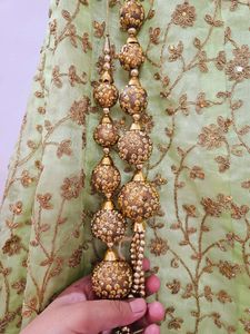 Pista Color Lehnga Choli