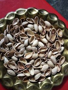 Pista Shells For Decoration