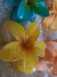 New Floral Flower Hair Clips