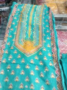 Elegant Salwar Suit (Hidden Minor Issue)
