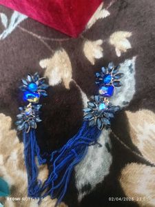 Blue Earrings