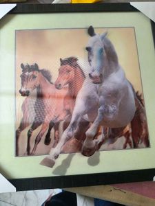5D Horse Wall Poster