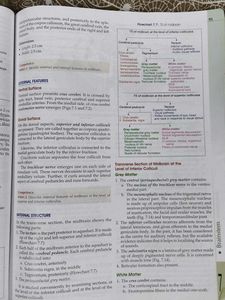 Human Anatomy Vol. 4 with workbook