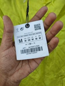 Zara Metalic Shine Silky Dress