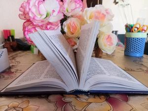 Oxford English to hindi dictionary
