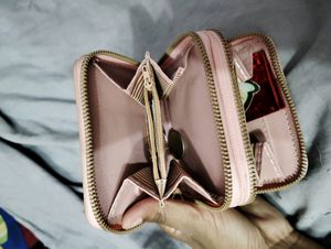 Mini Wallet Clutch 🍁