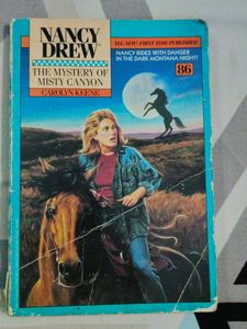 The Mystery of Misty Canyon