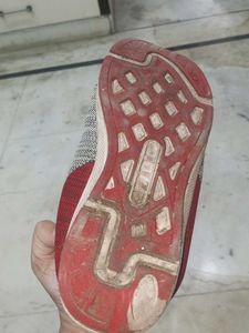Sport Shoes