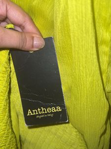 Anthea Green Embellished Dress