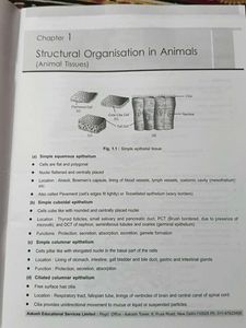 class 11th labelled diagram book.