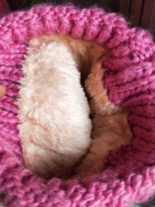 Pink Knitted Beanie with Pom Po