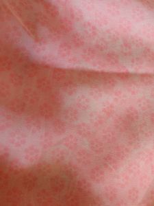 Beautiful Peach Saree Gorgeet