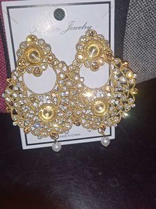 Beautiful Design Earrings