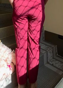 Trouser Pant