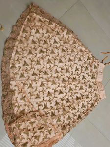 Embroidered Ethnic Skirt