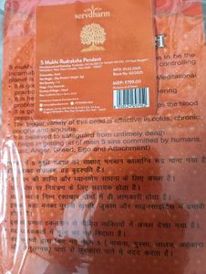 5 Mukhi Rudraksha Pendant