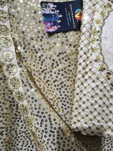 Beautiful Sequence Saree