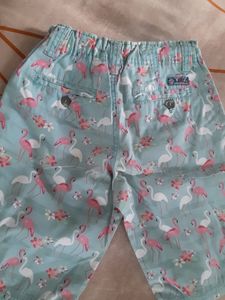 Kapri Shorts