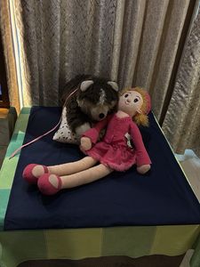 Cute Plush Doll & Bear