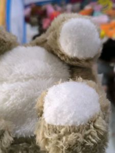 Cute Bear Plush
