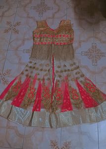 Elegant Indian Dress